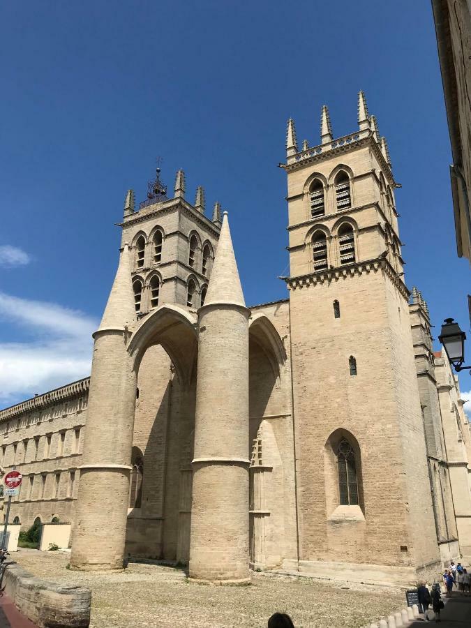 Superbe! Loft T3 -Ctre Historic- Prox. Place Comedie Montpellier Exterior foto